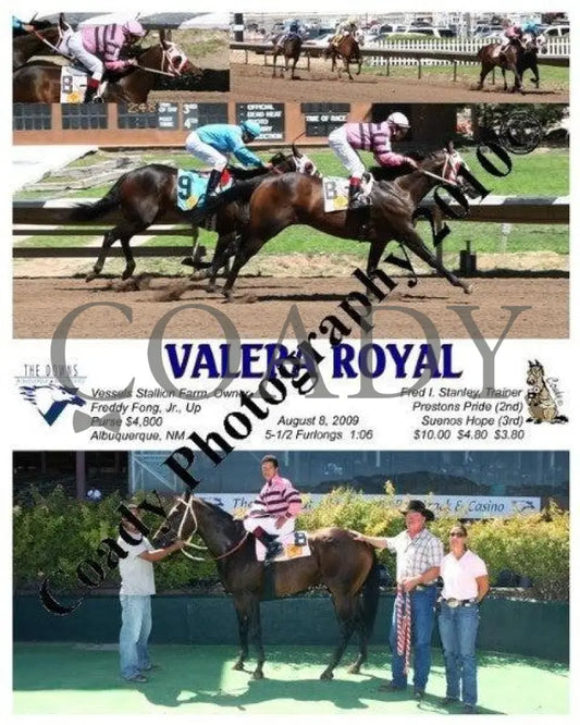 Valera Royal - 8 2009 Downs At Albuquerque