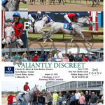 Valiantly Discreet - 08-13-24 R02 Fan Fanduel Sportsbook Horse Racing