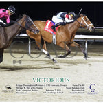 Victorious - 02-07-24 R05 Tp Action Turfway Park