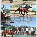 Victory Lane - 04-30-24 R03 Tup Turf Paradise