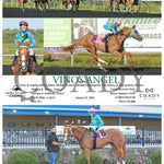 Vinos Angel - 08-26-24 R07 Pid Presque Isle Downs