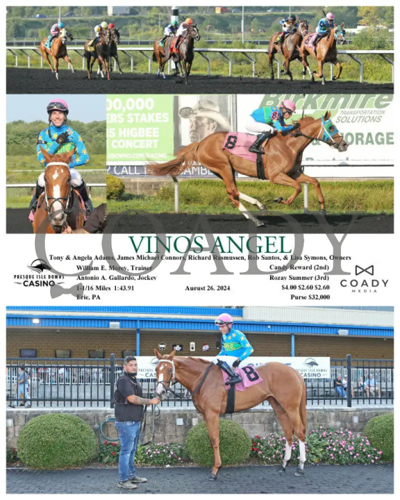 Vinos Angel - 08-26-24 R07 Pid Presque Isle Downs