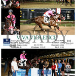 Viva Violence - 07-13-24 R08 Fan Fanduel Sportsbook Horse Racing