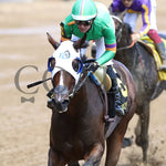 Vodka With A Twist - The Debutante 123Rd Running 06-30-24 R04 Cd Inside Finish 01 Churchill Downs