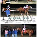 Voice From Above - 02-21-24 R07 Tp Turfway Park