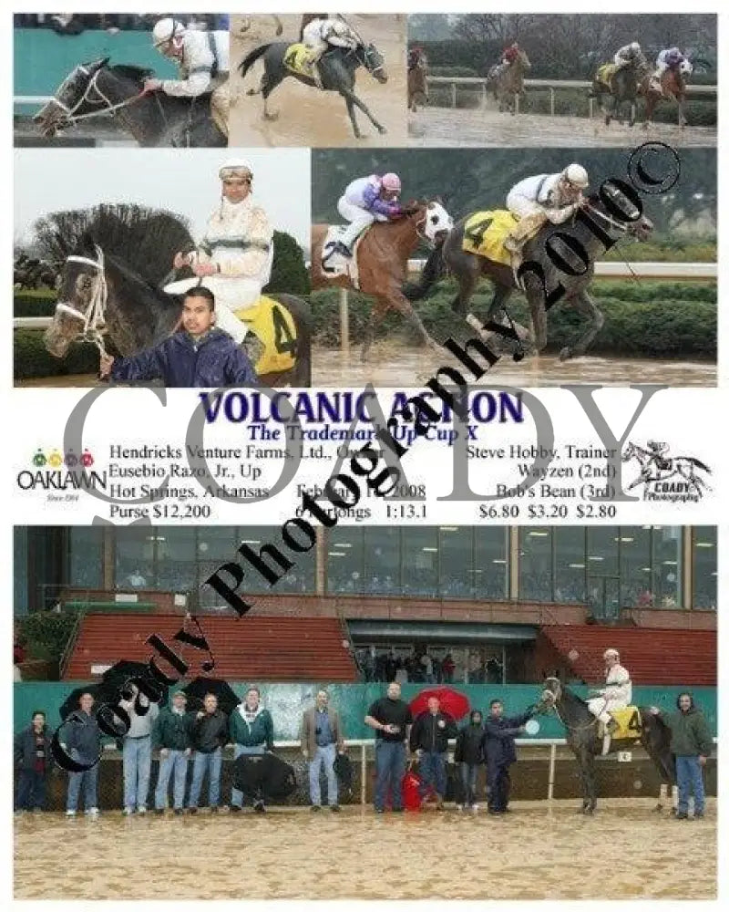 Volcanic Action - The Trademark Up Cup X 2 1 Oaklawn Park