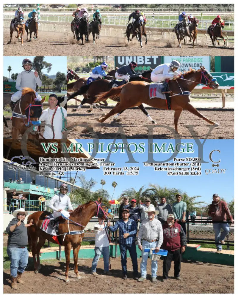 Vs Mr Pilotos Image - 02-13-24 R01 Tup Turf Paradise