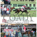 Walkathon - Ky Downs Preview Ladies Turf Mile 7Th Running 08-04-24 R08 Elp Ellis Park