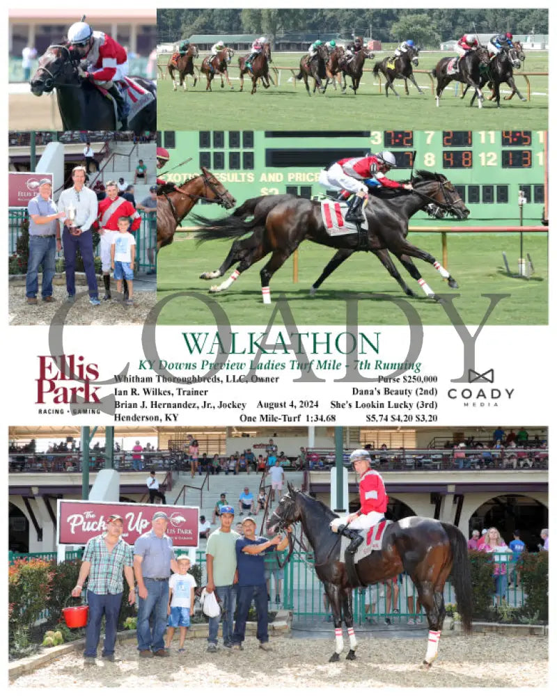 Walkathon - Ky Downs Preview Ladies Turf Mile 7Th Running 08-04-24 R08 Elp Ellis Park