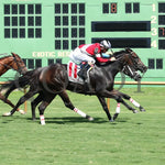 Walkathon - Ky Downs Preview Ladies Turf Mile 7Th Running 08-04-24 R08 Elp Finish 01 Ellis Park