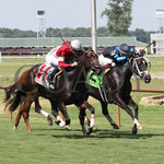 Walkathon - Ky Downs Preview Ladies Turf Mile 7Th Running 08-04-24 R08 Elp Finish 02 Ellis Park