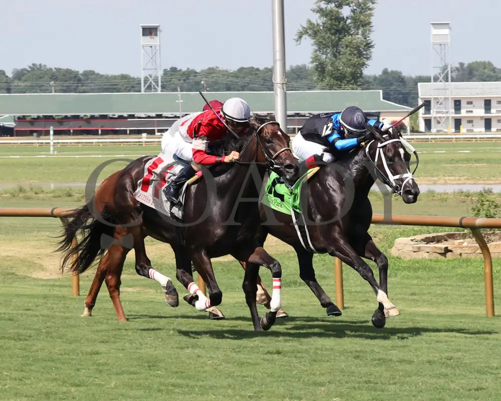 Walkathon - Ky Downs Preview Ladies Turf Mile 7Th Running 08-04-24 R08 Elp Finish 02 Ellis Park