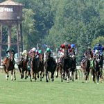 Walkathon - Ky Downs Preview Ladies Turf Mile 7Th Running 08-04-24 R08 Elp Head On 01 Ellis Park