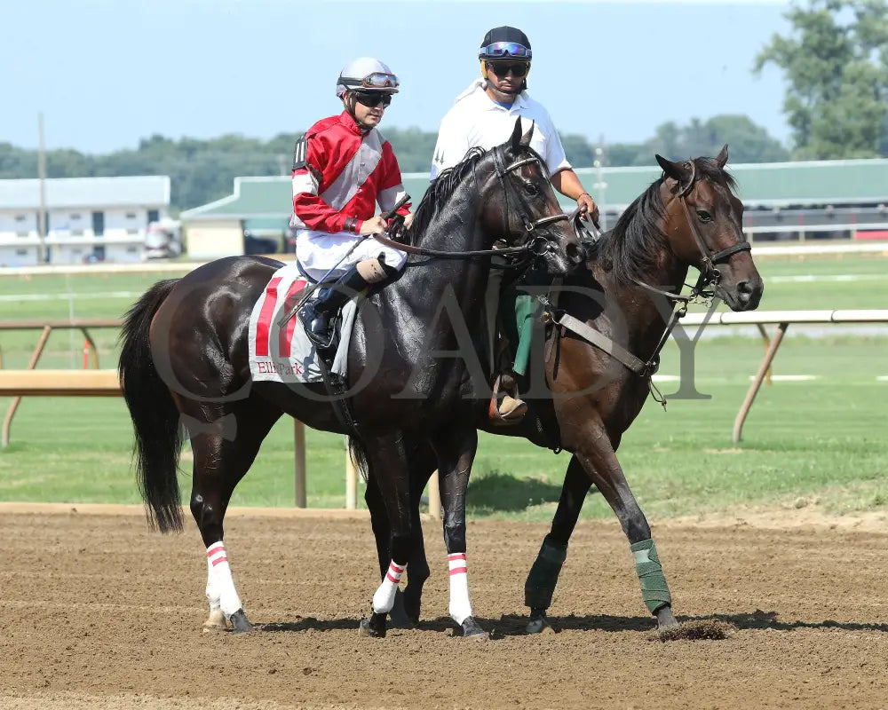 Walkathon - Ky Downs Preview Ladies Turf Mile 7Th Running 08-04-24 R08 Elp Post Parade 01 Ellis Park