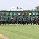 Walkathon - Ky Downs Preview Ladies Turf Mile 7Th Running 08-04-24 R08 Elp Start 01 Ellis Park