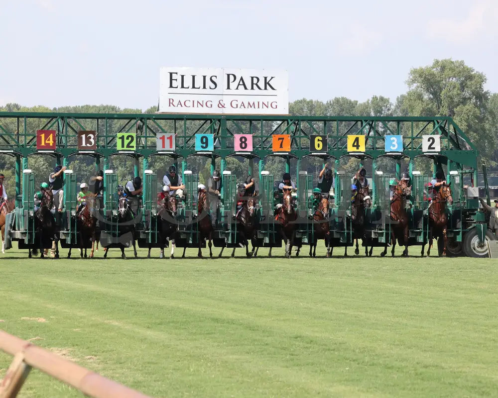 Walkathon - Ky Downs Preview Ladies Turf Mile 7Th Running 08-04-24 R08 Elp Start 01 Ellis Park