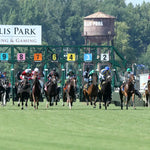 Walkathon - Ky Downs Preview Ladies Turf Mile 7Th Running 08-04-24 R08 Elp Start 02 Ellis Park