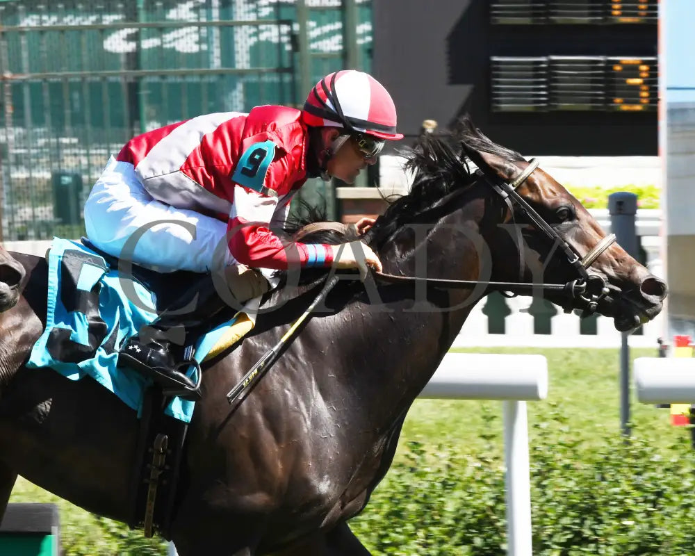 Walkathon - The Anchorage Overnight Stakes 06-30-24 R08 Cd Tight Finish 01 Churchill Downs