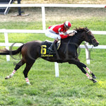 Walkathon - The Kentucky Downs Ladies Turf G3 08-31-24 R10 Kd Aerial Finish 01