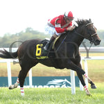 Walkathon - The Kentucky Downs Ladies Turf G3 08-31-24 R10 Kd Finish 03