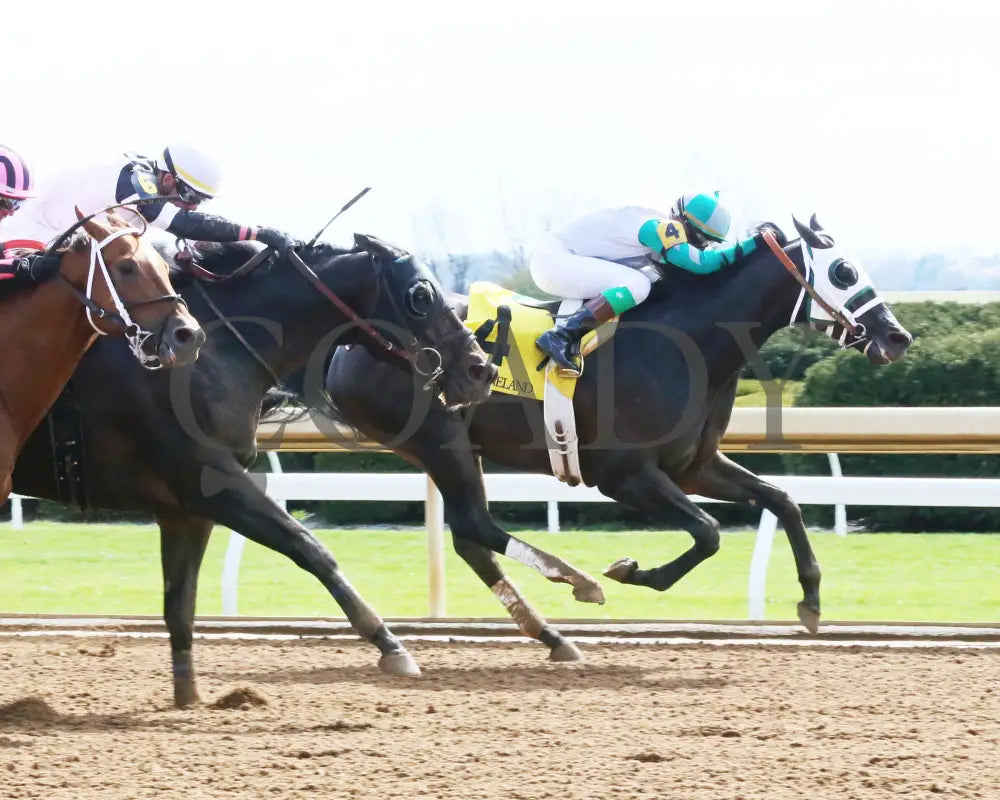 Warrior’s Club - 040718 Race 06 Kee Finish 01 Keeneland