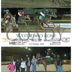 Waterloo Rose - 03 - 06 - 24 R01 Ct Hollywood Casino At Charles Town Races