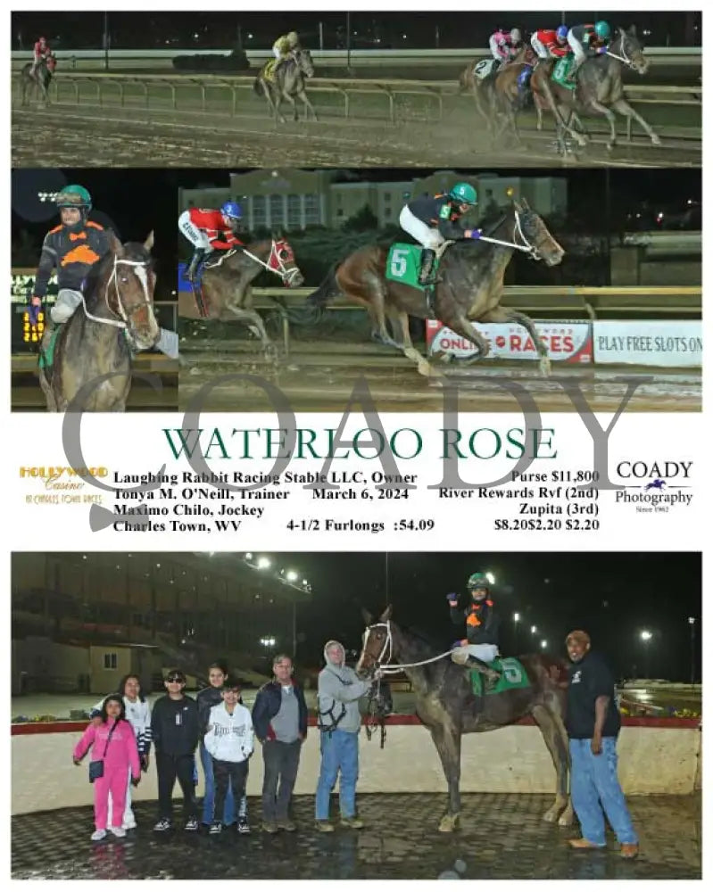 Waterloo Rose - 03 - 06 - 24 R01 Ct Hollywood Casino At Charles Town Races