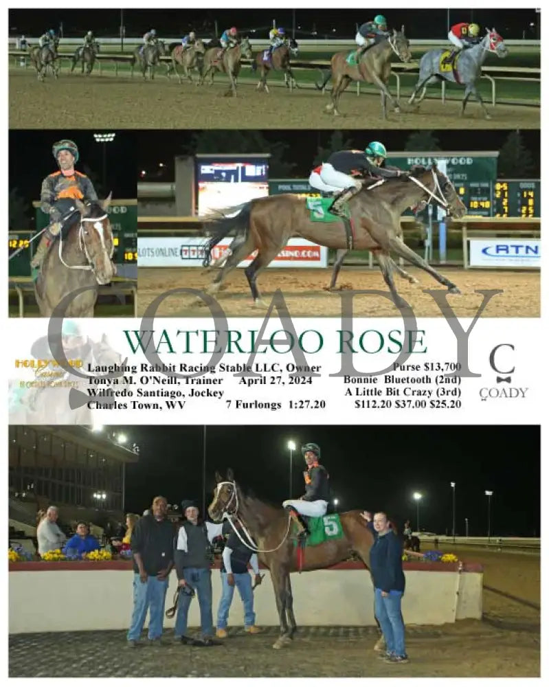 Waterloo Rose - 04-27-24 R08 Ct Hollywood Casino At Charles Town Races