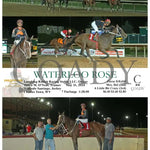 Waterloo Rose - 05-31-24 R06 Ct Hollywood Casino At Charles Town Races