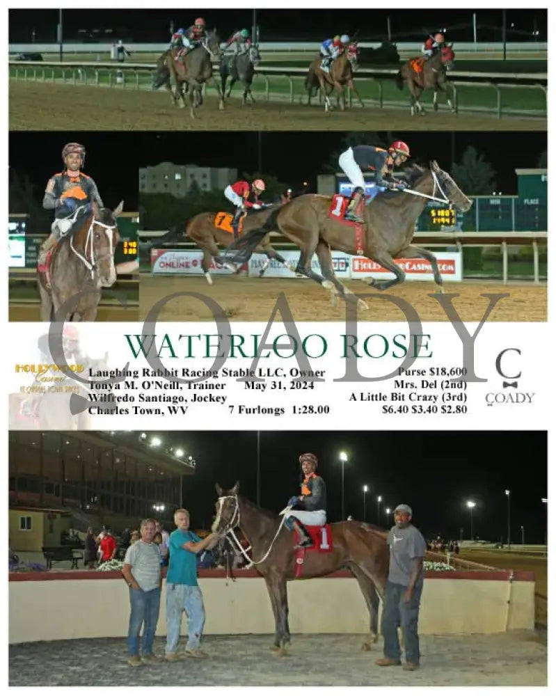 Waterloo Rose - 05-31-24 R06 Ct Hollywood Casino At Charles Town Races