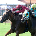 Waves Of Mischief - The Pucker Up G3 08-04-24 R09 Elp Inside Finish 01 Ellis Park