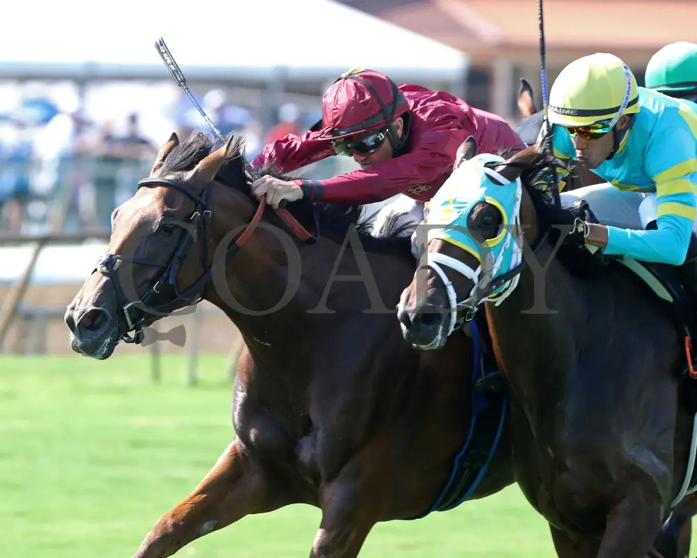 Waves Of Mischief - The Pucker Up G3 08-04-24 R09 Elp Inside Finish 01 Ellis Park