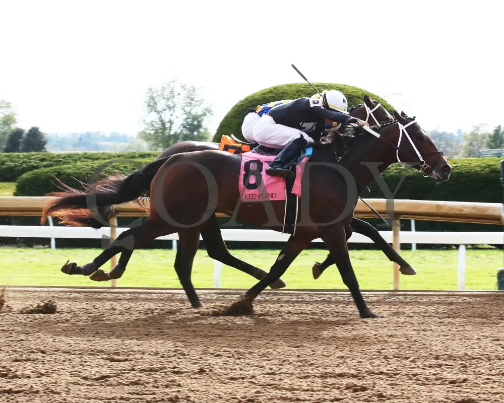 Wayne O - 10-19-19 R07 Kee Finish 01 Keeneland