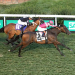 Webslinger - The Chorleywood Overnight Stakes 2Nd Running 06-15-24 R07 Cd Aerial Finish 01