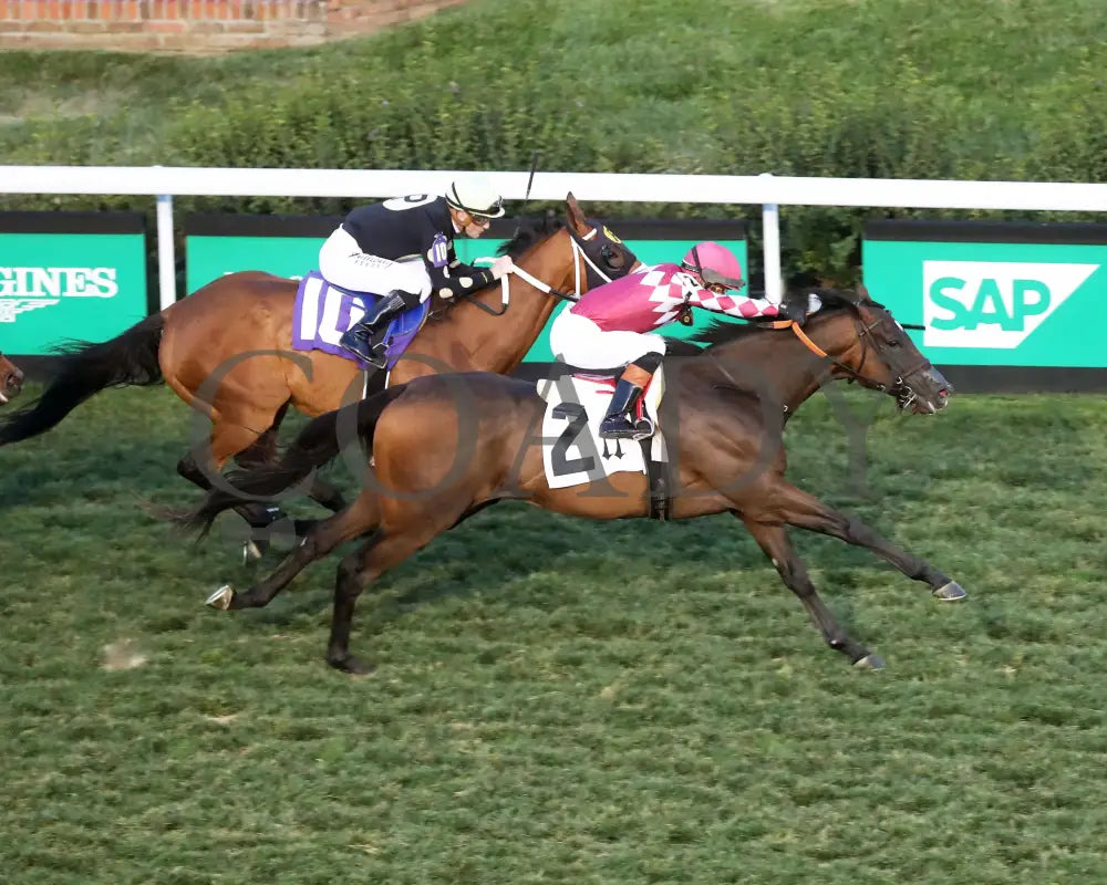 Webslinger - The Chorleywood Overnight Stakes 2Nd Running 06-15-24 R07 Cd Aerial Finish 01