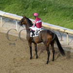 Webslinger - The Chorleywood Overnight Stakes 2Nd Running 06-15-24 R07 Cd Come Back 03 Churchill