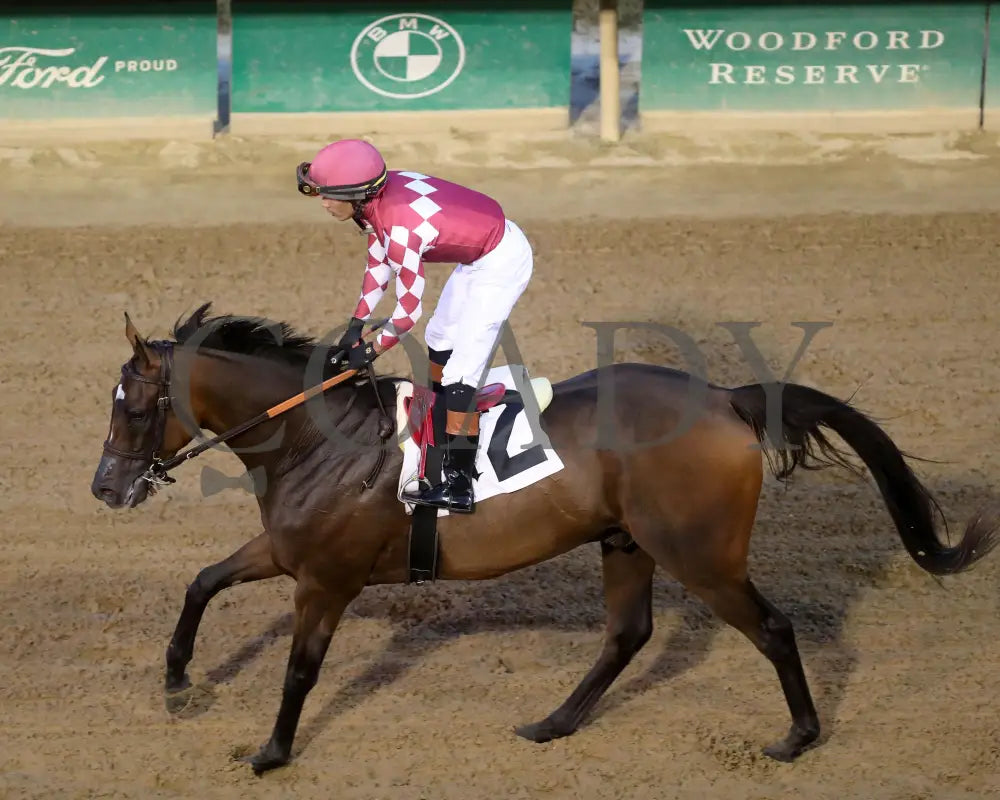 Webslinger - The Chorleywood Overnight Stakes 2Nd Running 06-15-24 R07 Cd Come Back 04 Churchill