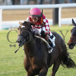 Webslinger - The Chorleywood Overnight Stakes 2Nd Running 06-15-24 R07 Cd Inside Finish 02