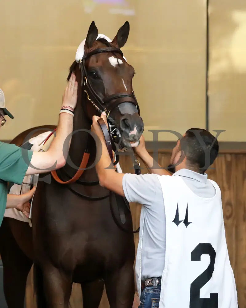 Webslinger - The Chorleywood Overnight Stakes 2Nd Running 06-15-24 R07 Cd Paddock 01 Churchill Downs