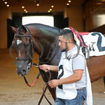 Webslinger - The Chorleywood Overnight Stakes 2Nd Running 06-15-24 R07 Cd Paddock 03 Churchill Downs