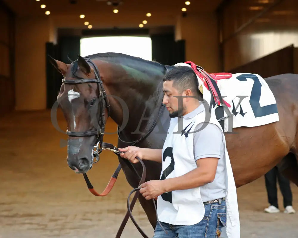 Webslinger - The Chorleywood Overnight Stakes 2Nd Running 06-15-24 R07 Cd Paddock 03 Churchill Downs