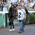 Webslinger - The Chorleywood Overnight Stakes 2Nd Running 06-15-24 R07 Cd Paddock 04 Churchill Downs