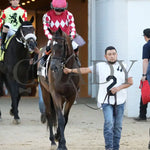 Webslinger - The Chorleywood Overnight Stakes 2Nd Running 06-15-24 R07 Cd Post Parade 01 Churchill