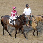 Webslinger - The Chorleywood Overnight Stakes 2Nd Running 06-15-24 R07 Cd Post Parade 02 Churchill