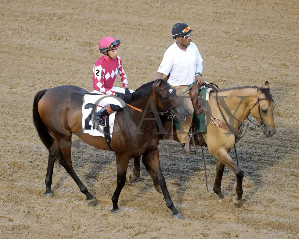 Webslinger - The Chorleywood Overnight Stakes 2Nd Running 06-15-24 R07 Cd Post Parade 02 Churchill