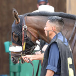 West Memorial - The Kentucky Juvenile 05-02-24 R09 Cd Paddock 01 Churchill Downs