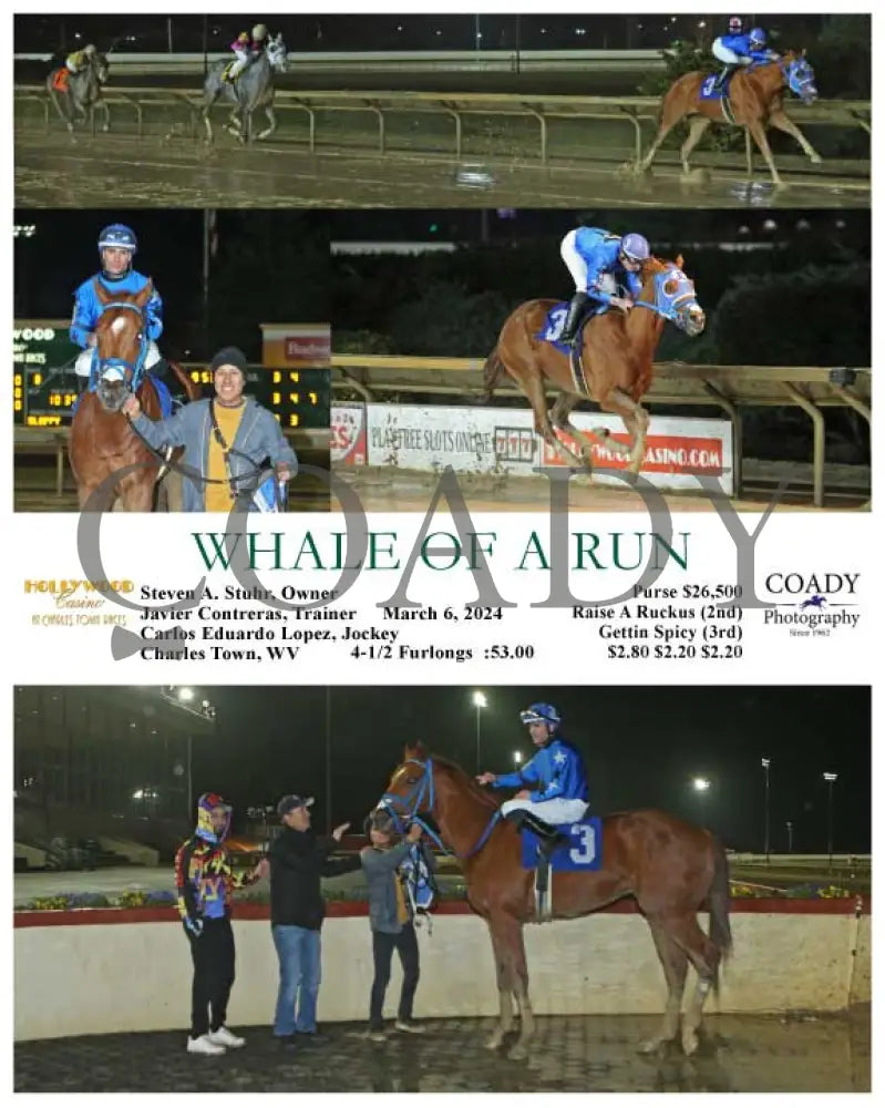 Whale Of A Run - 03 - 06 - 24 R08 Ct Hollywood Casino At Charles Town Races