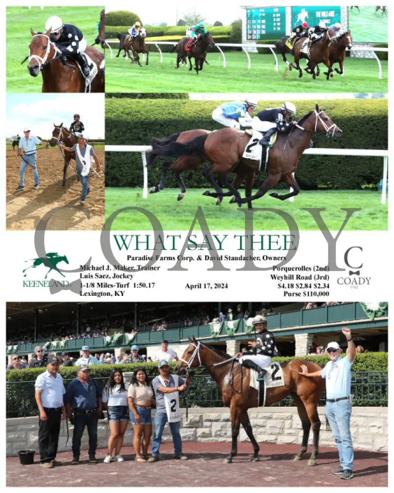 What Say Thee - 04 - 17 - 24 R07 Kee Keeneland