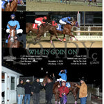 Whats Goin On - 12-04-24 R04 Mnr Mountaineer Park