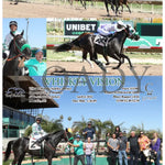 Whiskey Vision - 04 - 04 - 24 R04 Tup Turf Paradise